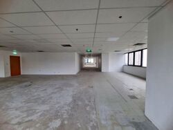 Og Albert Complex (D7), Office #530261271